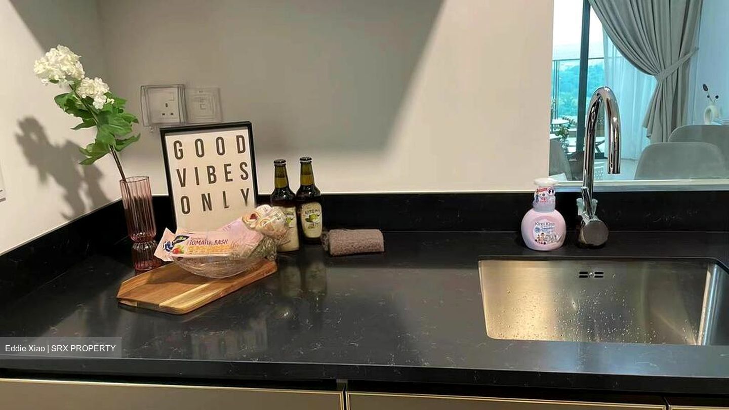 Normanton Park (D5), Apartment #558915551